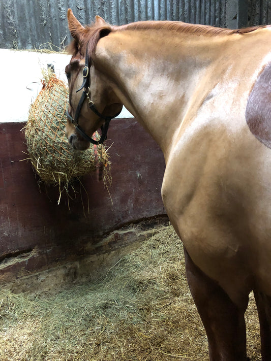 "He is now thriving and putting on weight"...