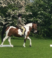 "I'm thrilled with Equine 74"....