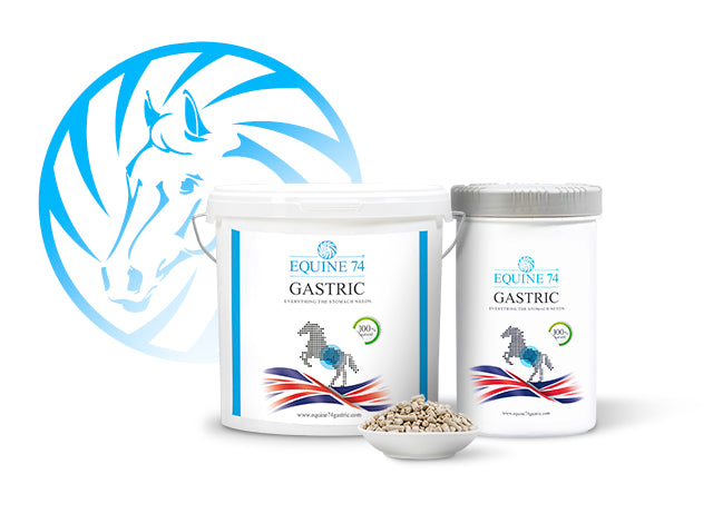 Help your Horses's Stomach Health in 2022!