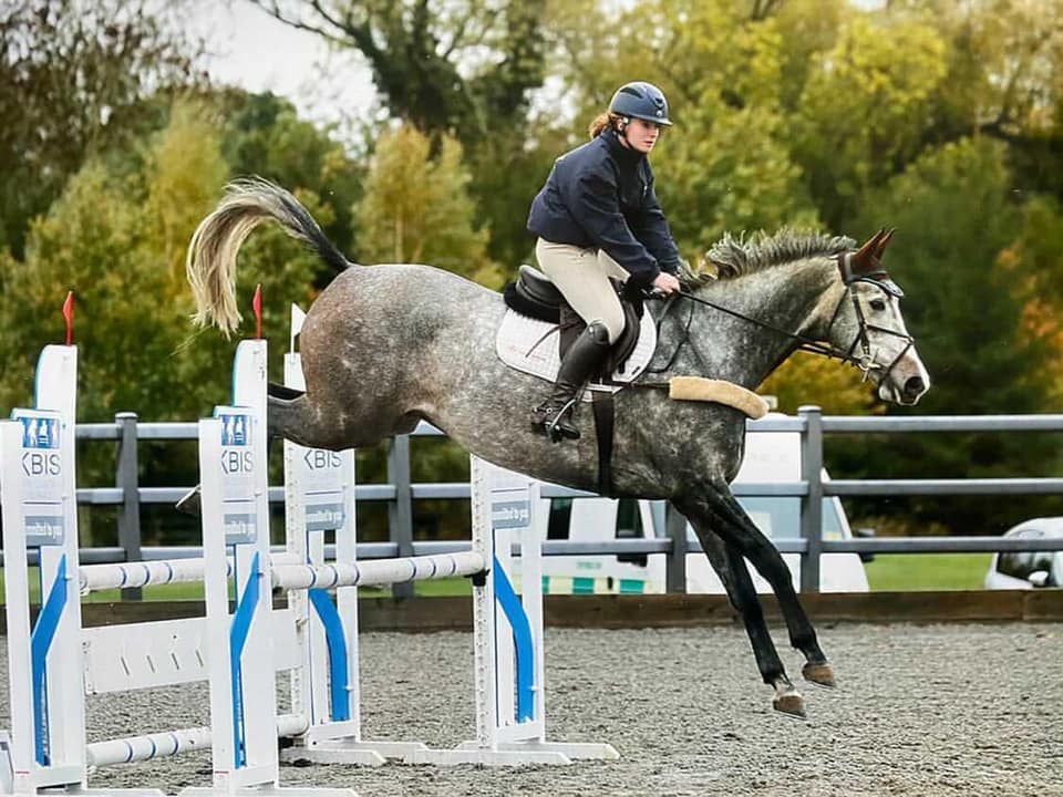 "Equine 74 Gastric is a fabulous product"...